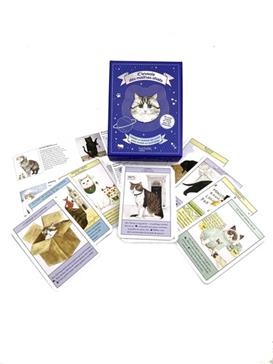 L'oracle des maîtres chats