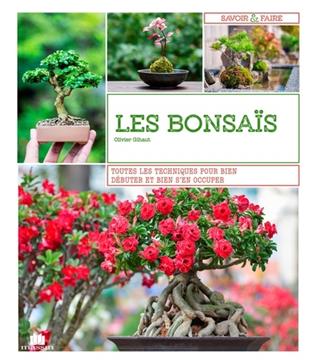 Les bonsaïs