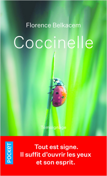 Coccinelle