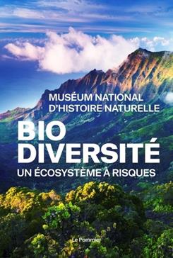 Des risques grandeur nature