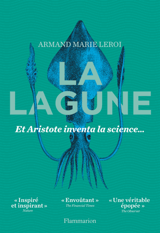 La lagune