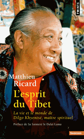 L'esprit du Tibet. La vie et le monde de Dilgo Khyentsé maître spirituel