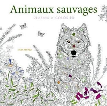 Animaux sauvages - Dessins à colorier