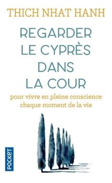 Regarder le cyprès dans la cour