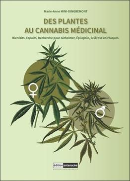 Des plantes au cannabis médicinal