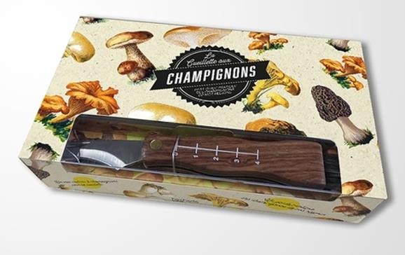 La cueillette aux champignons
