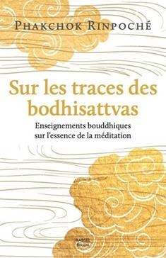 Sur les traces des bodhisattvas