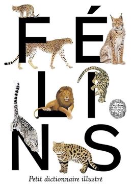 Félins: Petit dictionnaire illustré