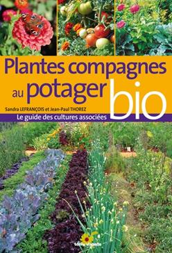 Plantes compagnes au potager bio
