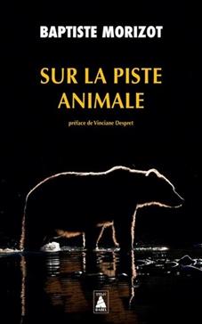 Sur la piste animale