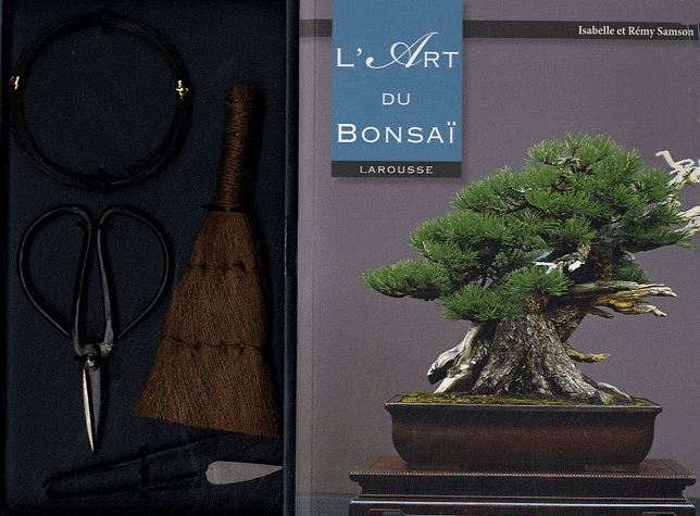 L'Art du Bonsaï