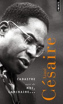 Cadastre