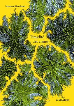 Timidité des cimes
