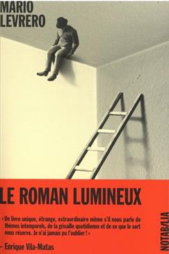 Le roman lumineux