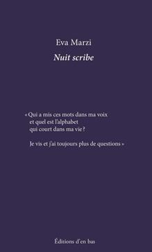 Nuit scribe