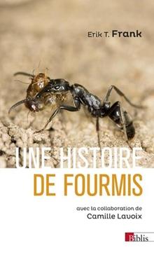 Une histoire de fourmis