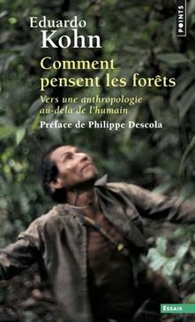 Comment pensent les forêts