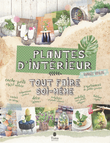 Plantes d'intérieur