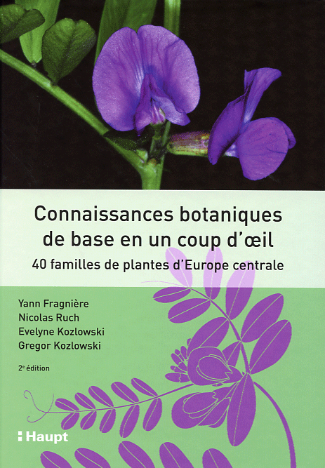 Connaissances botaniques de base en un coup d'œil