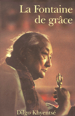 LA FONTAINE DE GRACE. La pratique du yoga du maître selon la tradition de l'Essence du coeur de l'immensité