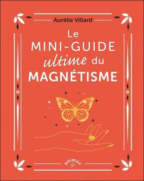 Le mini-guide ultime du magnétisme