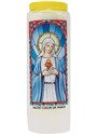 Neuvaine Sacré cœur de Marie