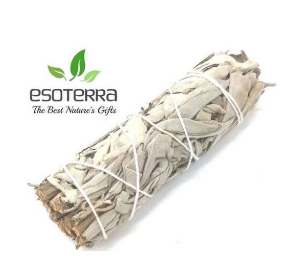 Sauge blanche apiana californie 25-30 gr