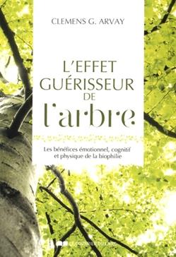 L'effet guérisseur de l'arbre
