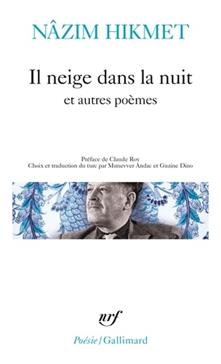 Il neige dans la nuit