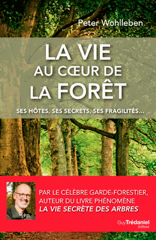 La vie au coeur de la forêt
