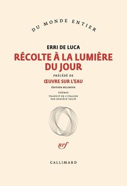 Récolte à la lumière du jour