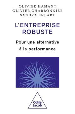 L'entreprise robuste