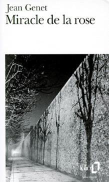 Miracle de la rose