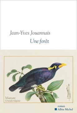 Une forêt