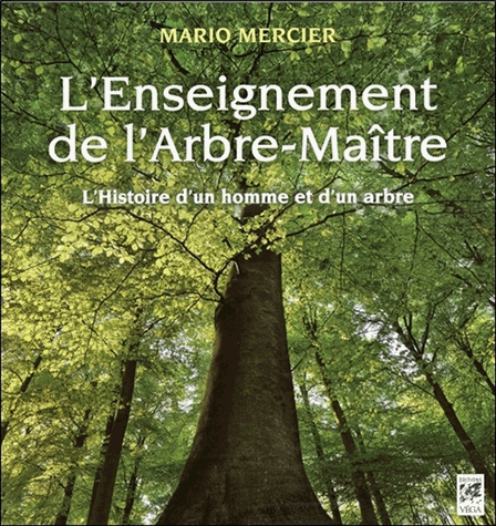 L'enseignement de l'arbre-maître