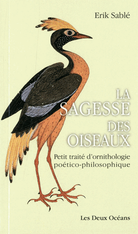 Sagesse des oiseaux
