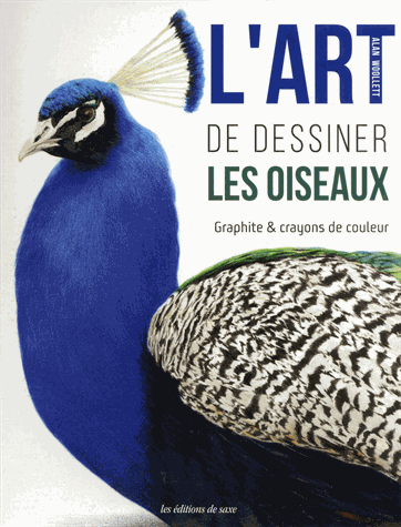 L'art de dessiner des oiseaux