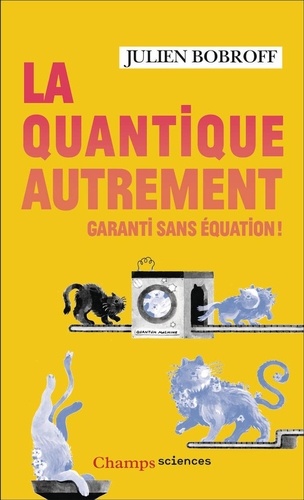 La quantique autrement. Garanti sans équation !