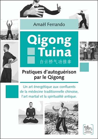 Qigong Tuina : Pratiques d'autoguérison par le Qigong