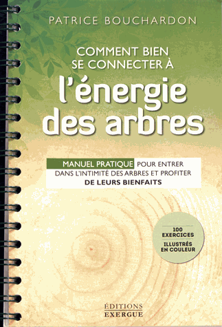 Comment bien se connecter à l'énergie des arbres