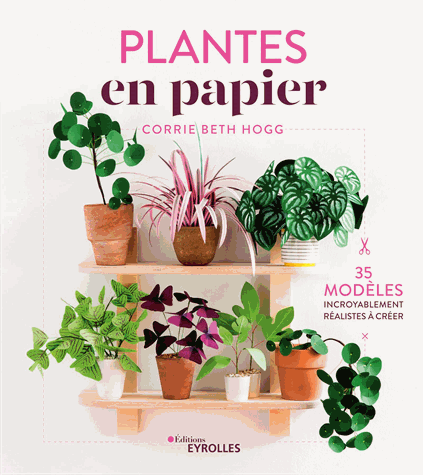 Plantes en papier