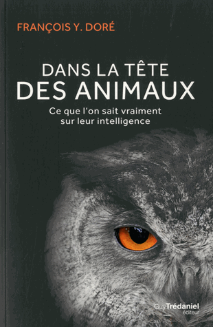 Dans la tête des animaux