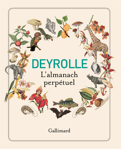 Deyrolle, l'almanach perpétuel