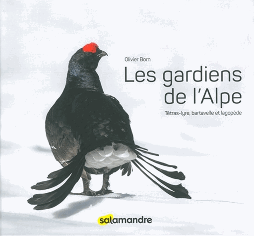 Les gardiens de l'Alpe