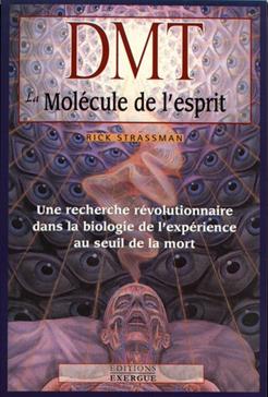 [9782361881924] DMT la molécule de l'esprit