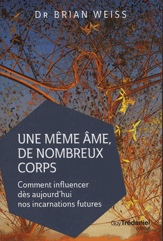 [9782813216823] Une même âme, de nombreux corps