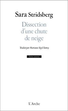 [9782381980256] Dissection d'une chute de neige