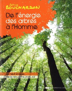 [9782702913185] De l'énergie des arbres à l'homme