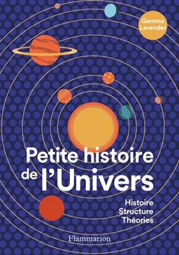 [9782080282576] Petite histoire de l'Univers