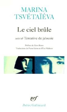 [9782070403608] Le ciel brûle